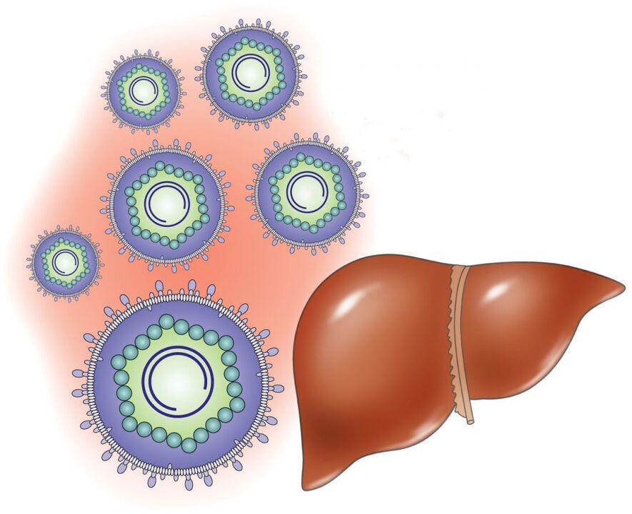 kako sistemska zdravila delujejo interno